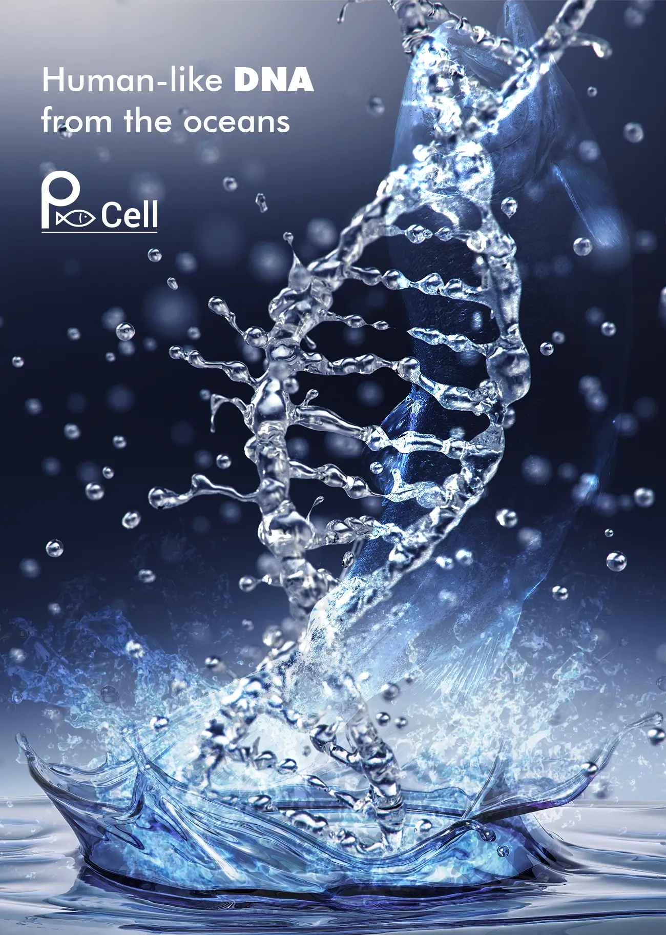 Human-like DNA from the oceans P-Cell
